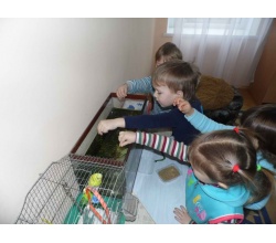 Годуємо рибок у акваріумі